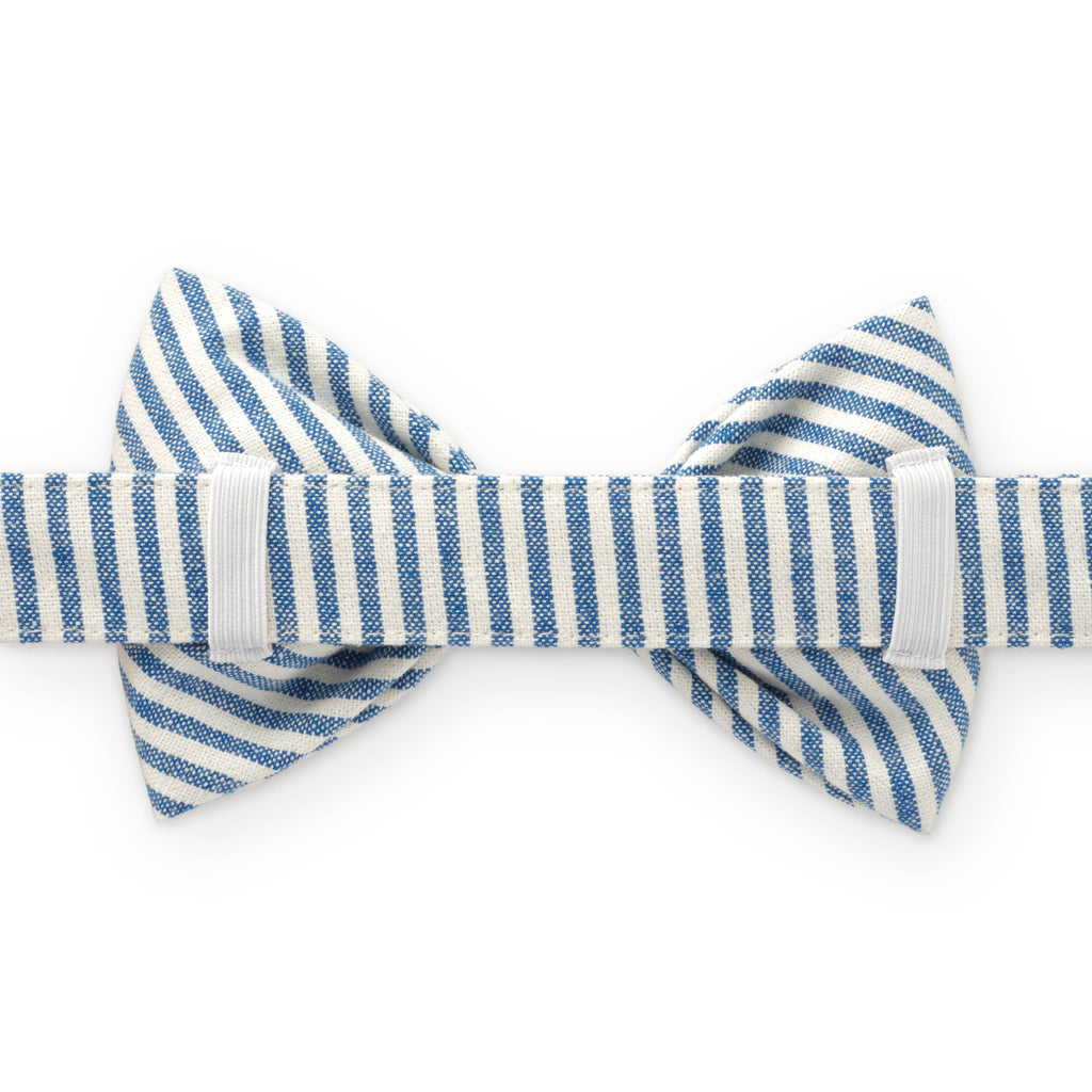 Dog Bow Tie