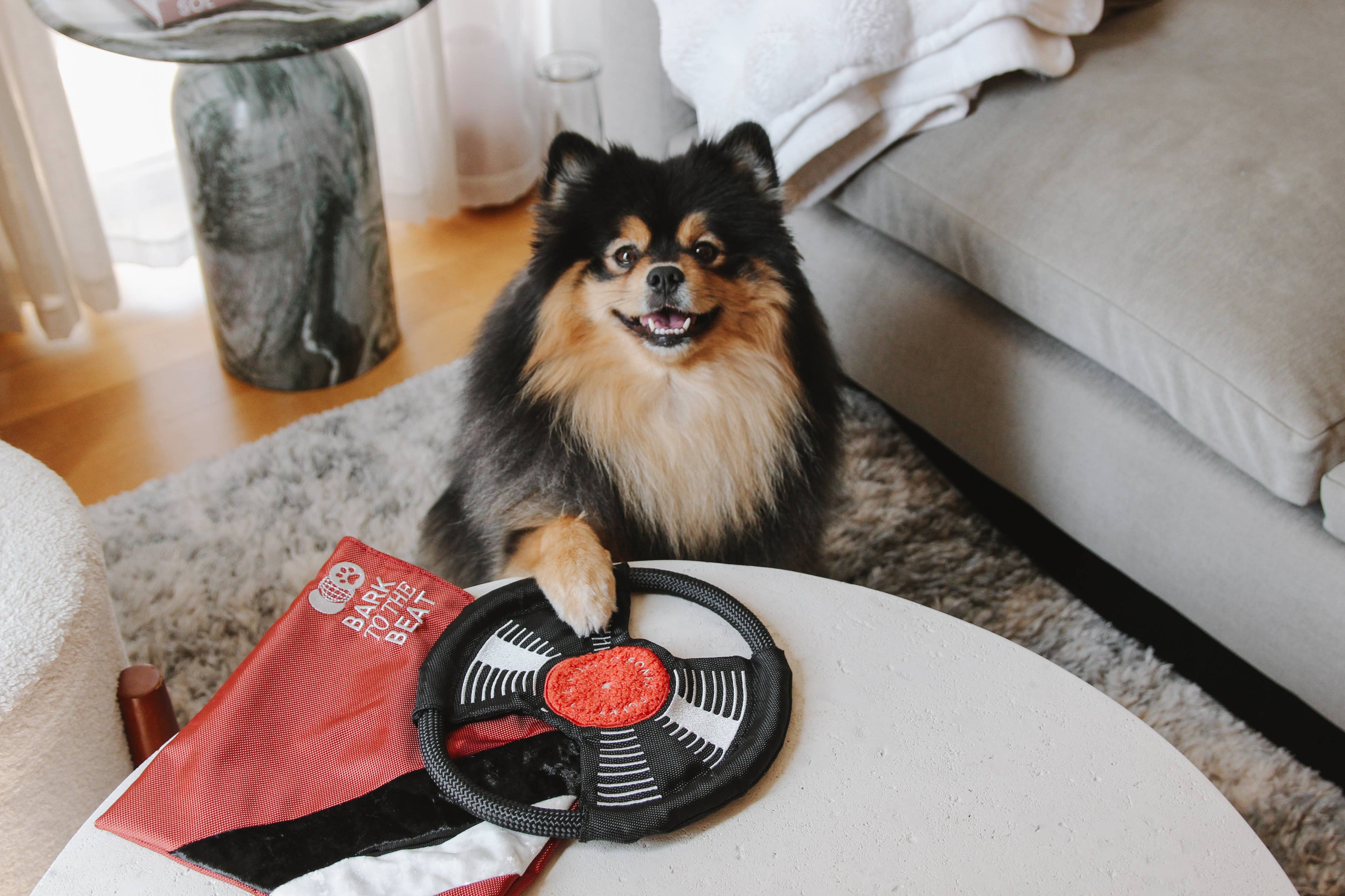 Bark to Beat Enrichment Dog Toy