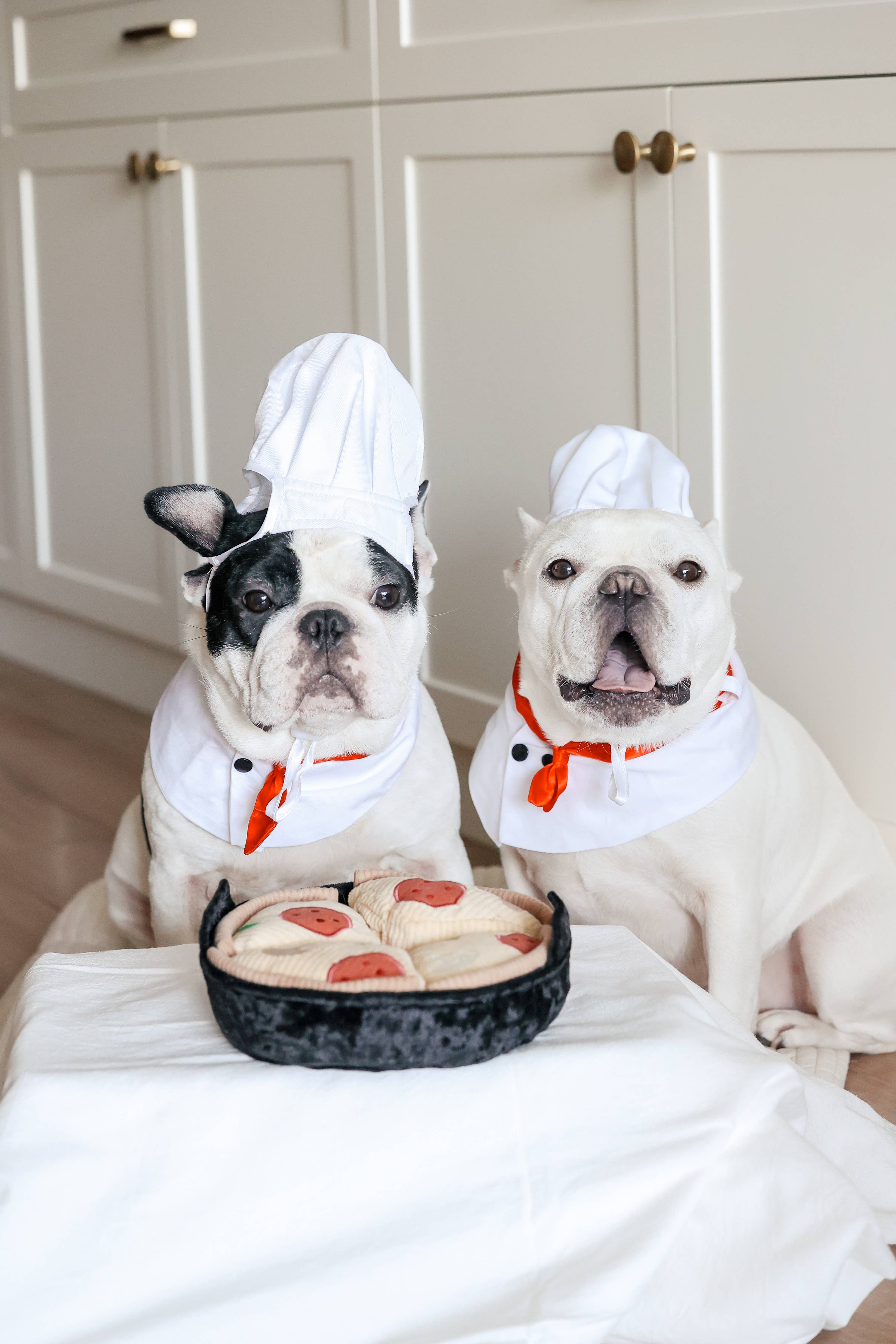 Deep Dish Pizza Dog Toy