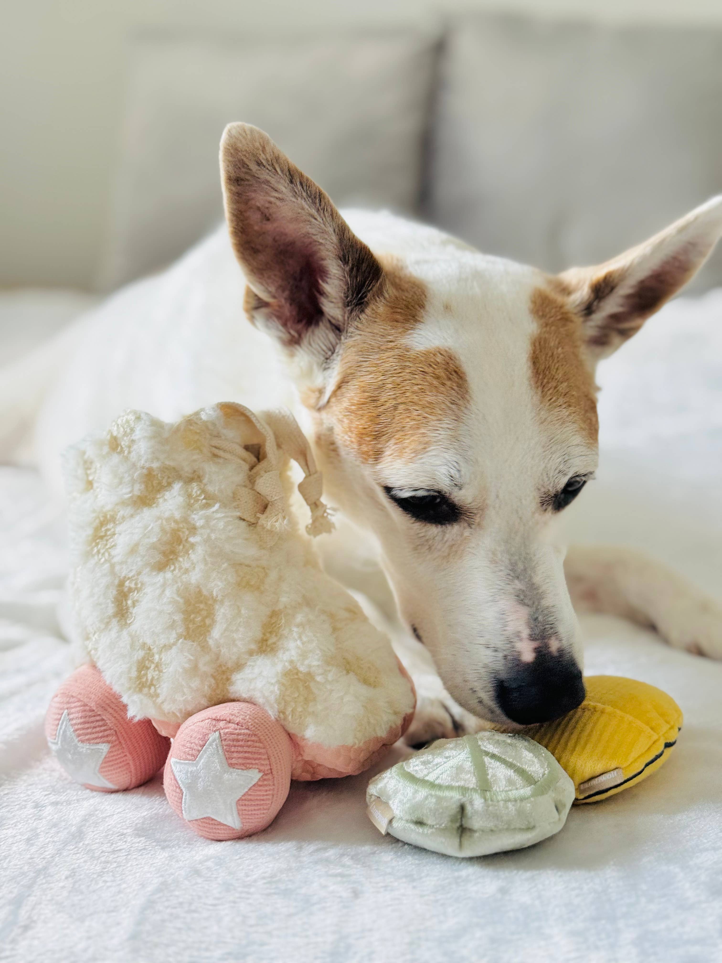 Roller Skate Enrichment Dog Toy