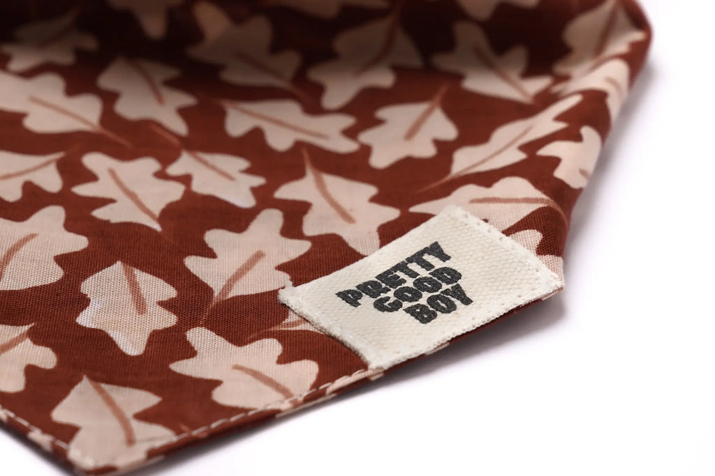 Hudson Fall Dog Bandana