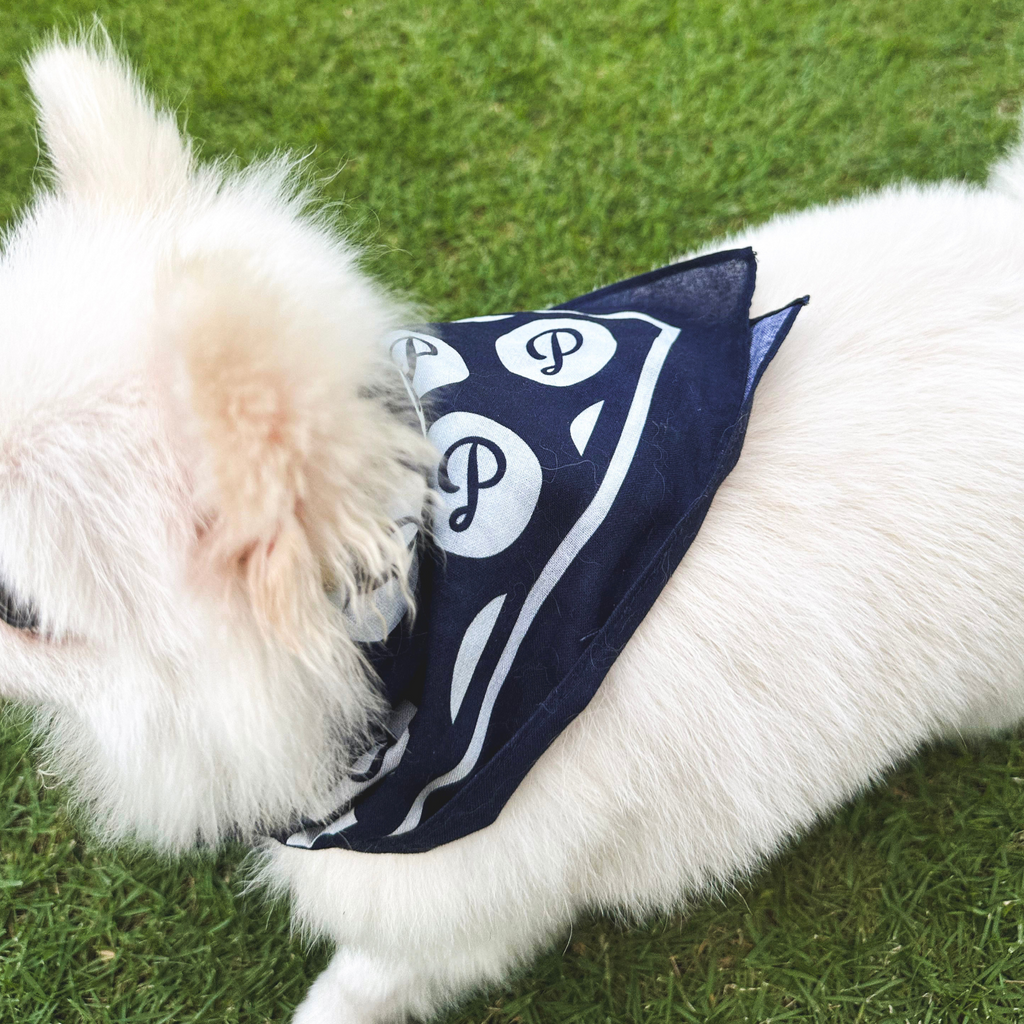 Puppster Bandana