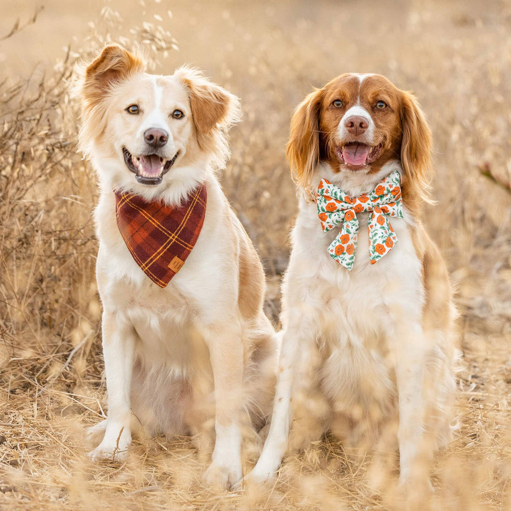 Cider Plaid Flannel Fall Dog Bandana