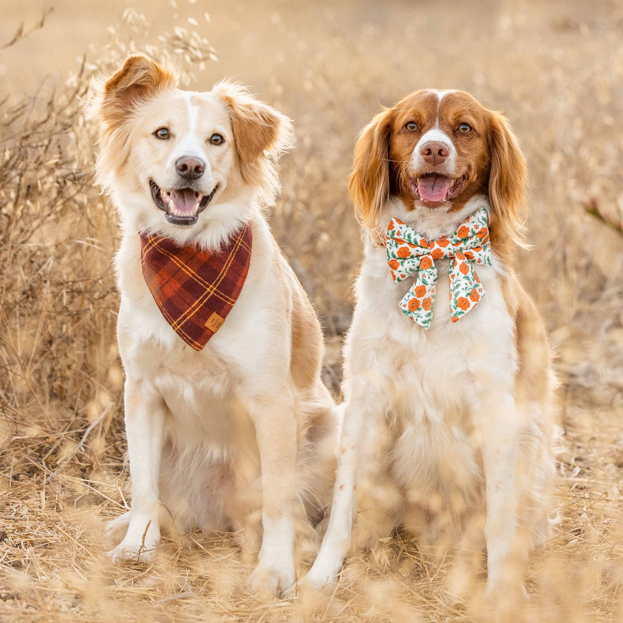 Cider Plaid Flannel Fall Dog Bandana