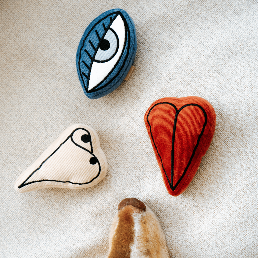 Picasso Snuffle Enrichment Dog Toy Set