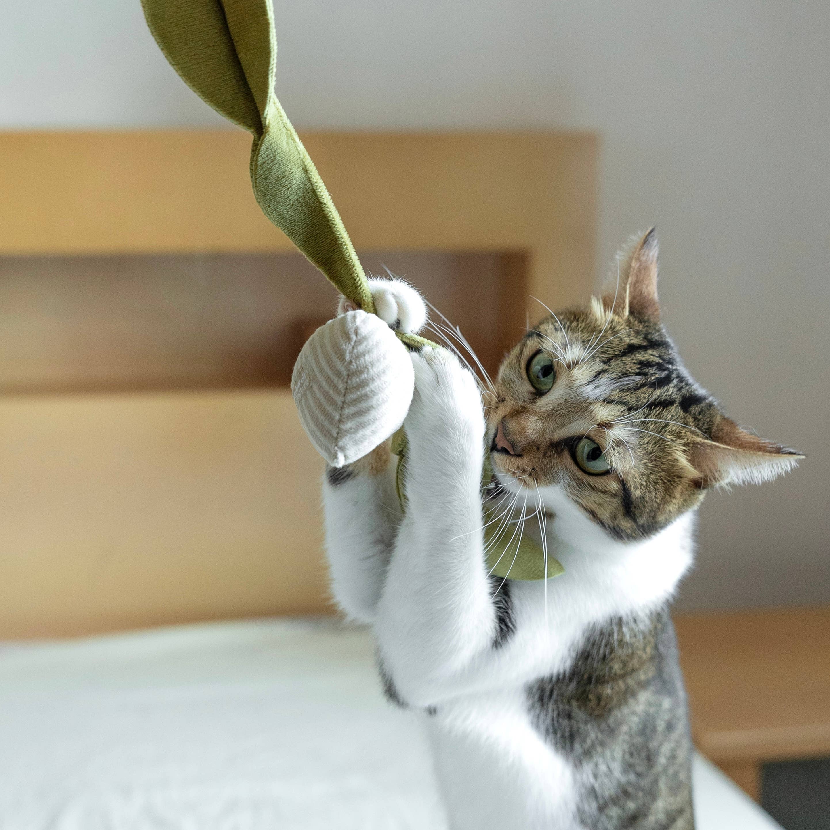 Kitty Radish Toy