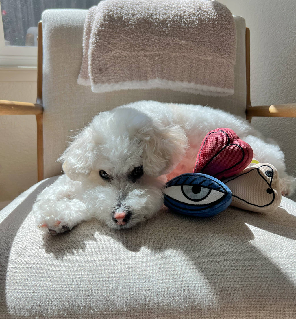 Picasso Snuffle Enrichment Dog Toy Set