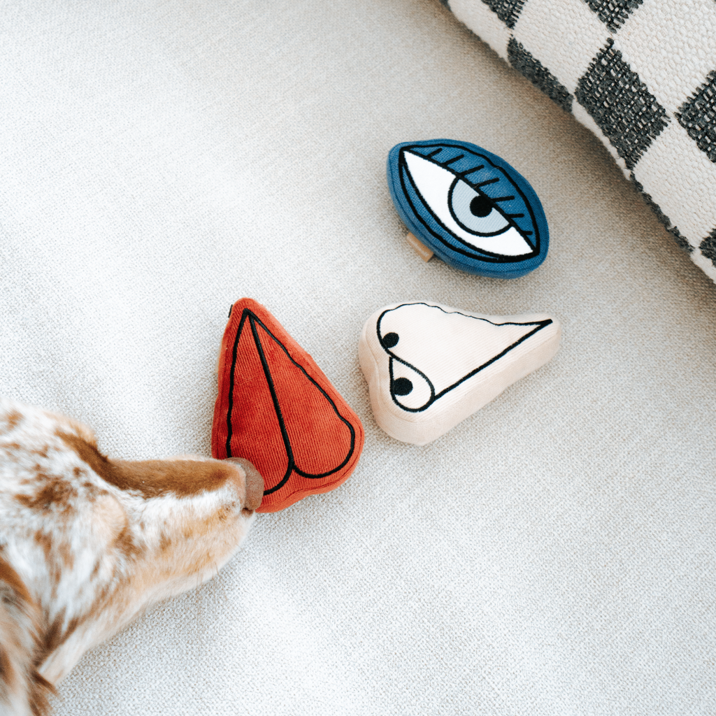 Picasso Snuffle Enrichment Dog Toy Set