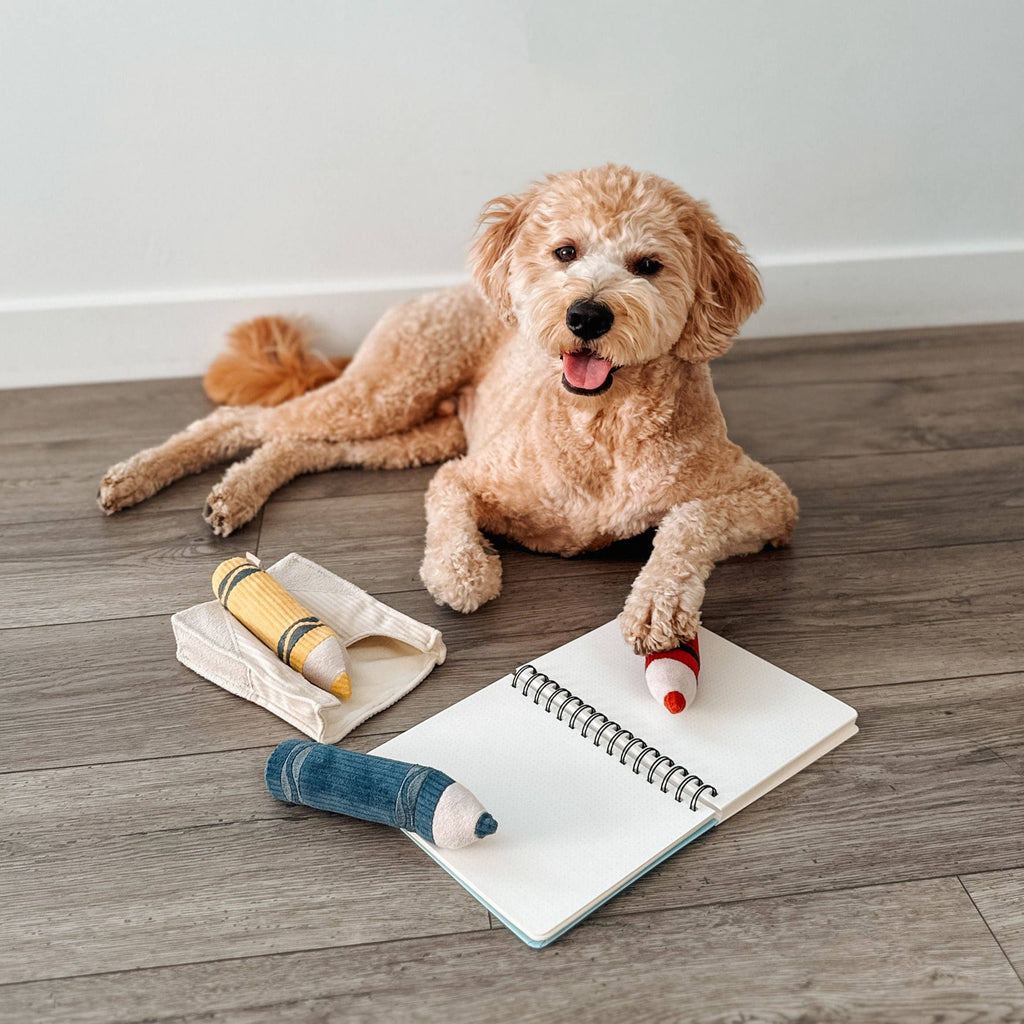 Crayons Enrichment Dog Toy