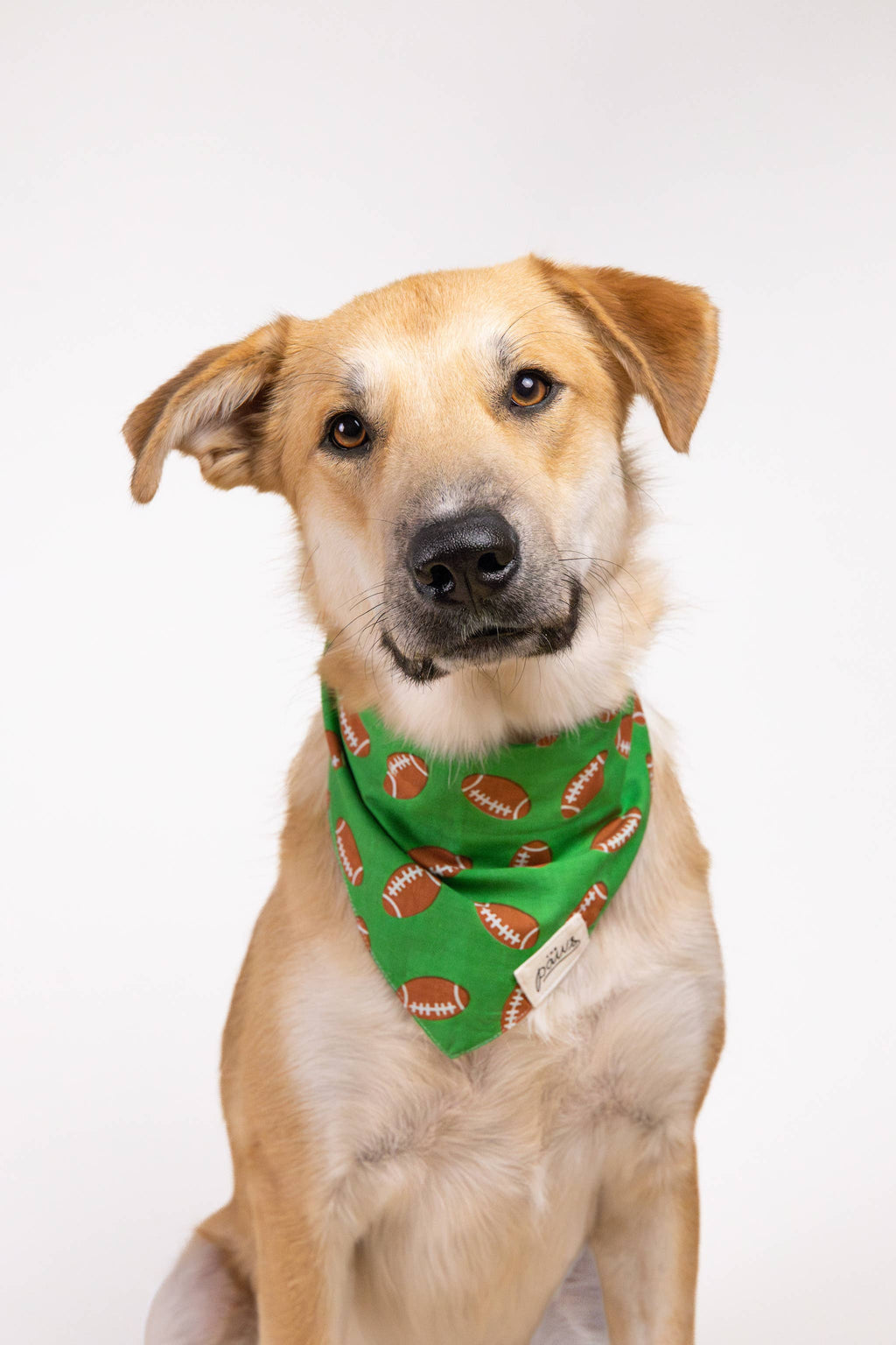 Defender Football Dog Bandana