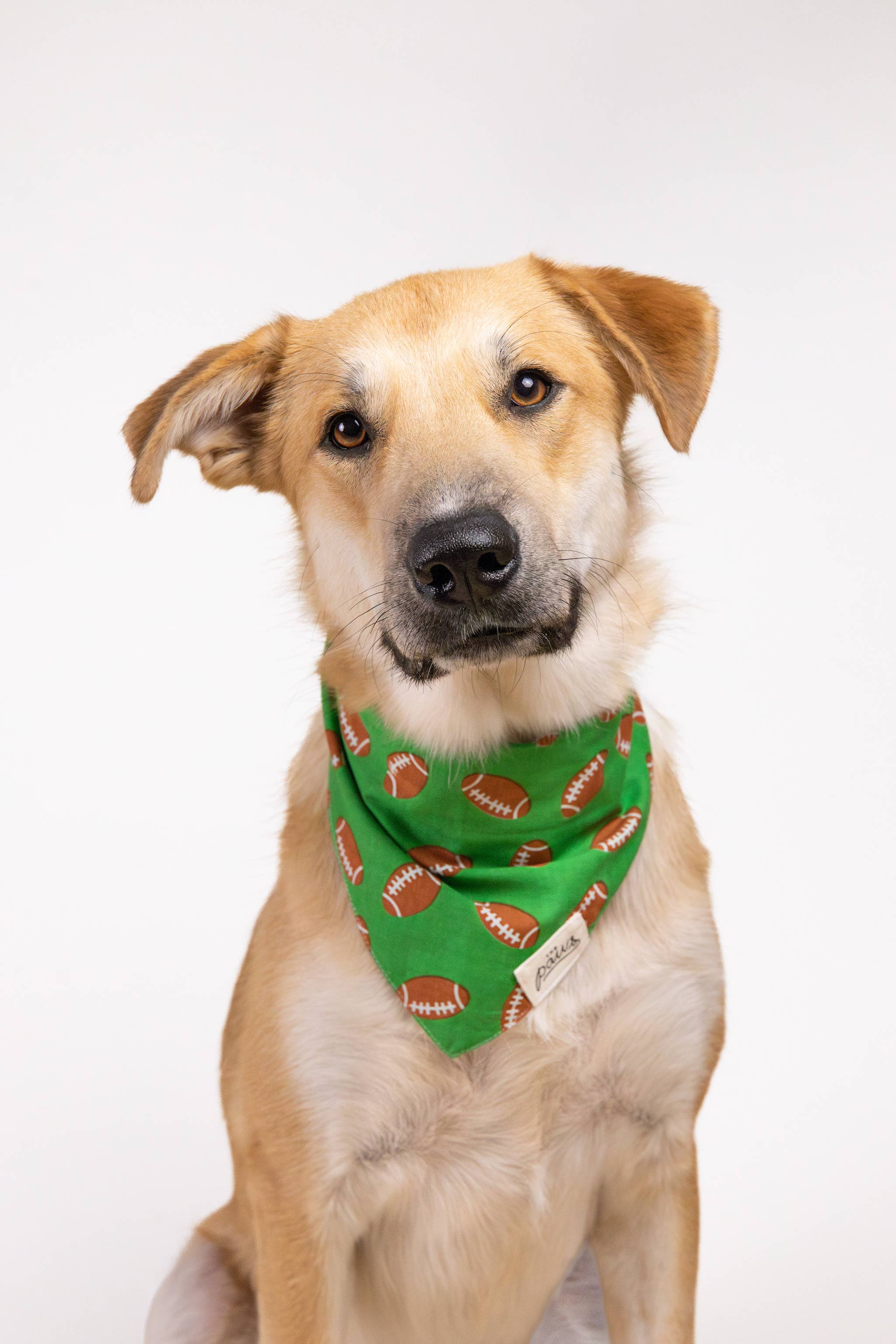 Defender Football Dog Bandana