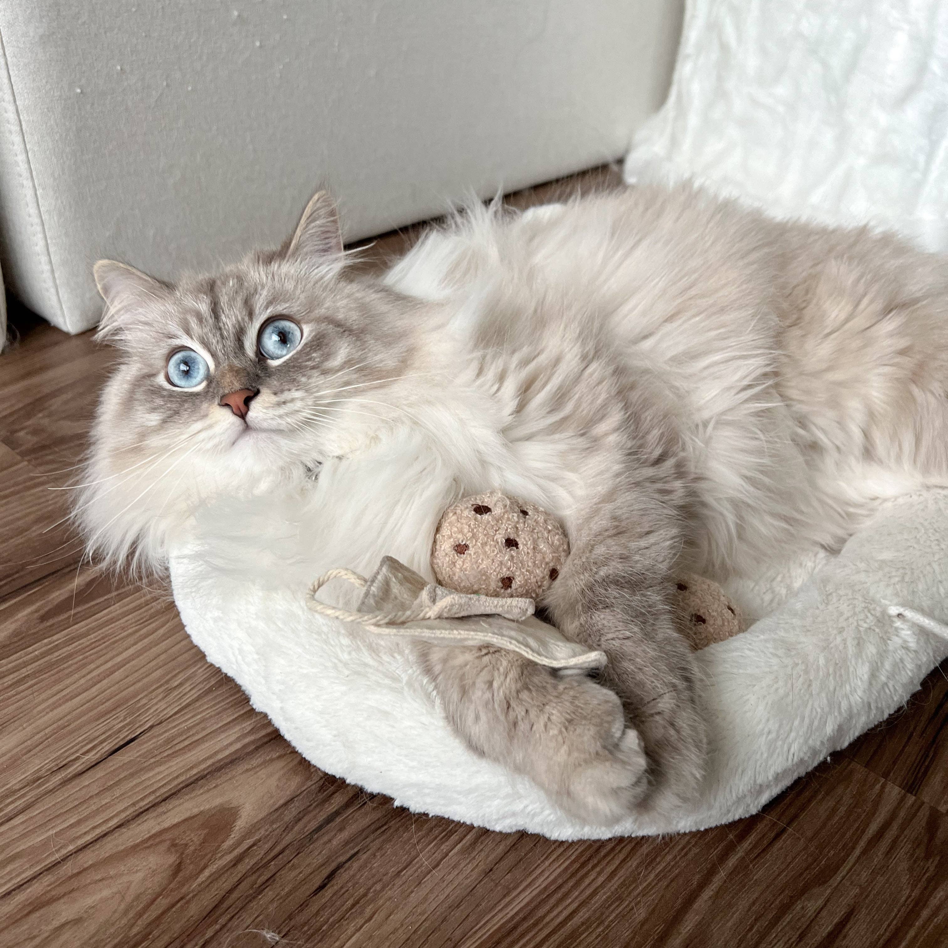 Kitty Tea Time Cat Toy