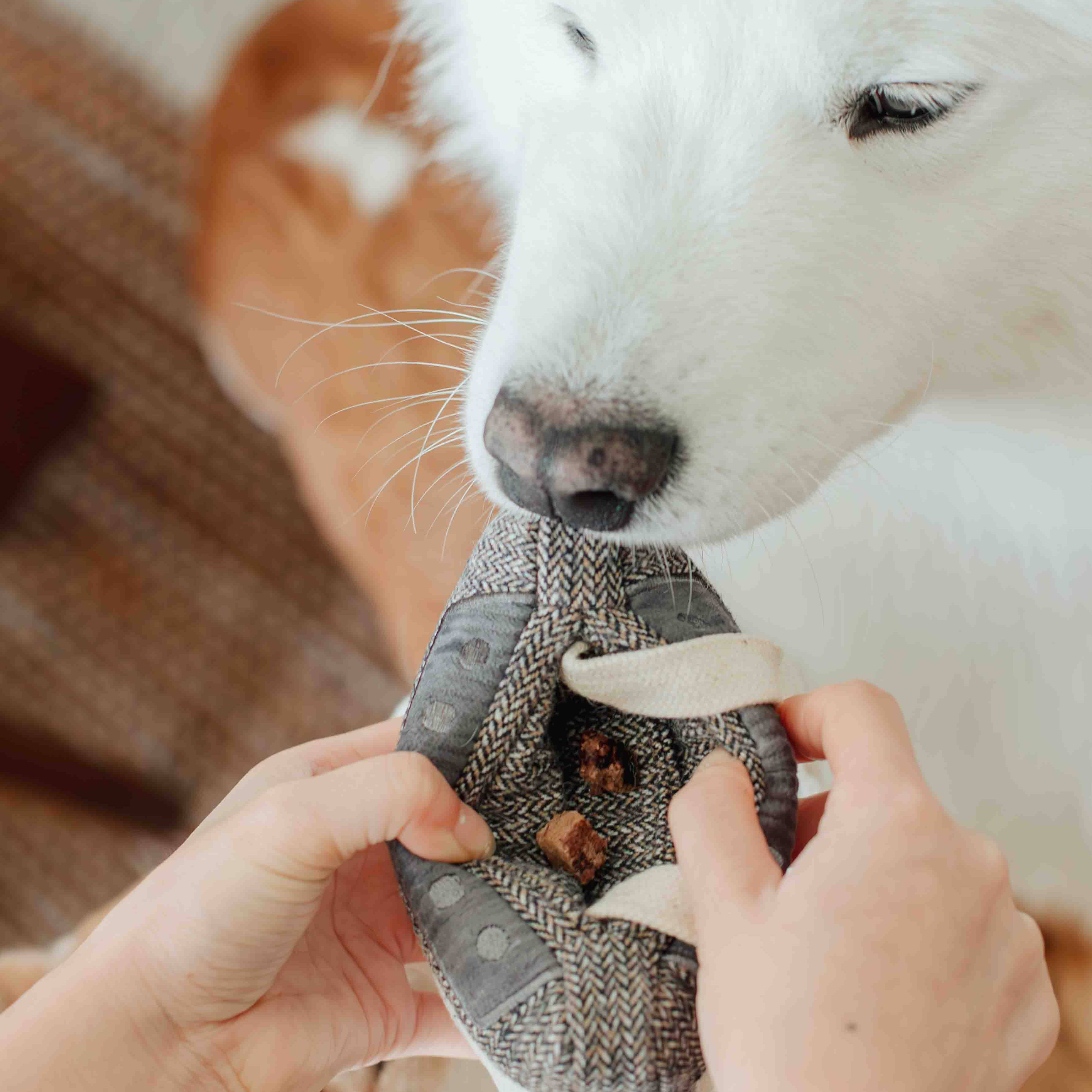 Cassette Enrichment Dog Toy