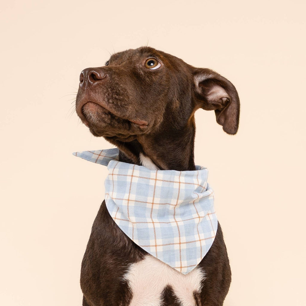 Harlowe Dog Bandana