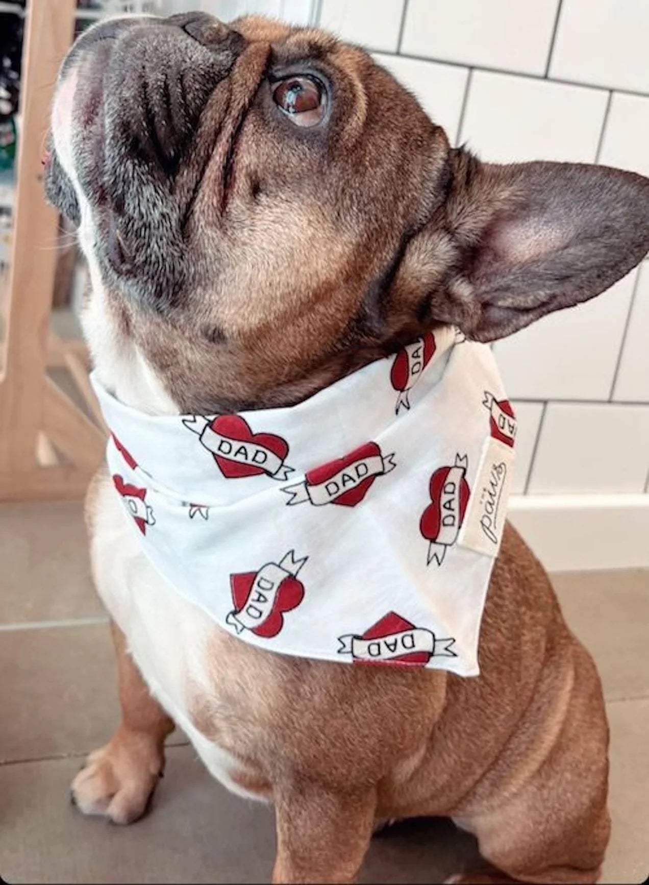Love Dad Dog Bandana