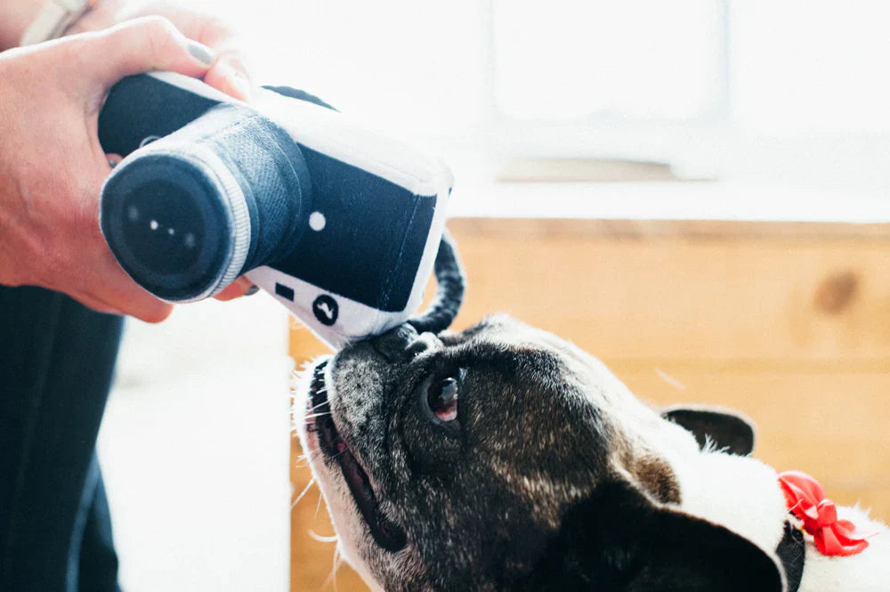 Globetrotter Lens Licker Camera Toy