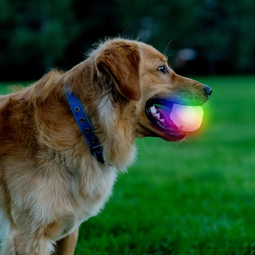 GlowStreak® Wild™ LED Ball - Disc-O