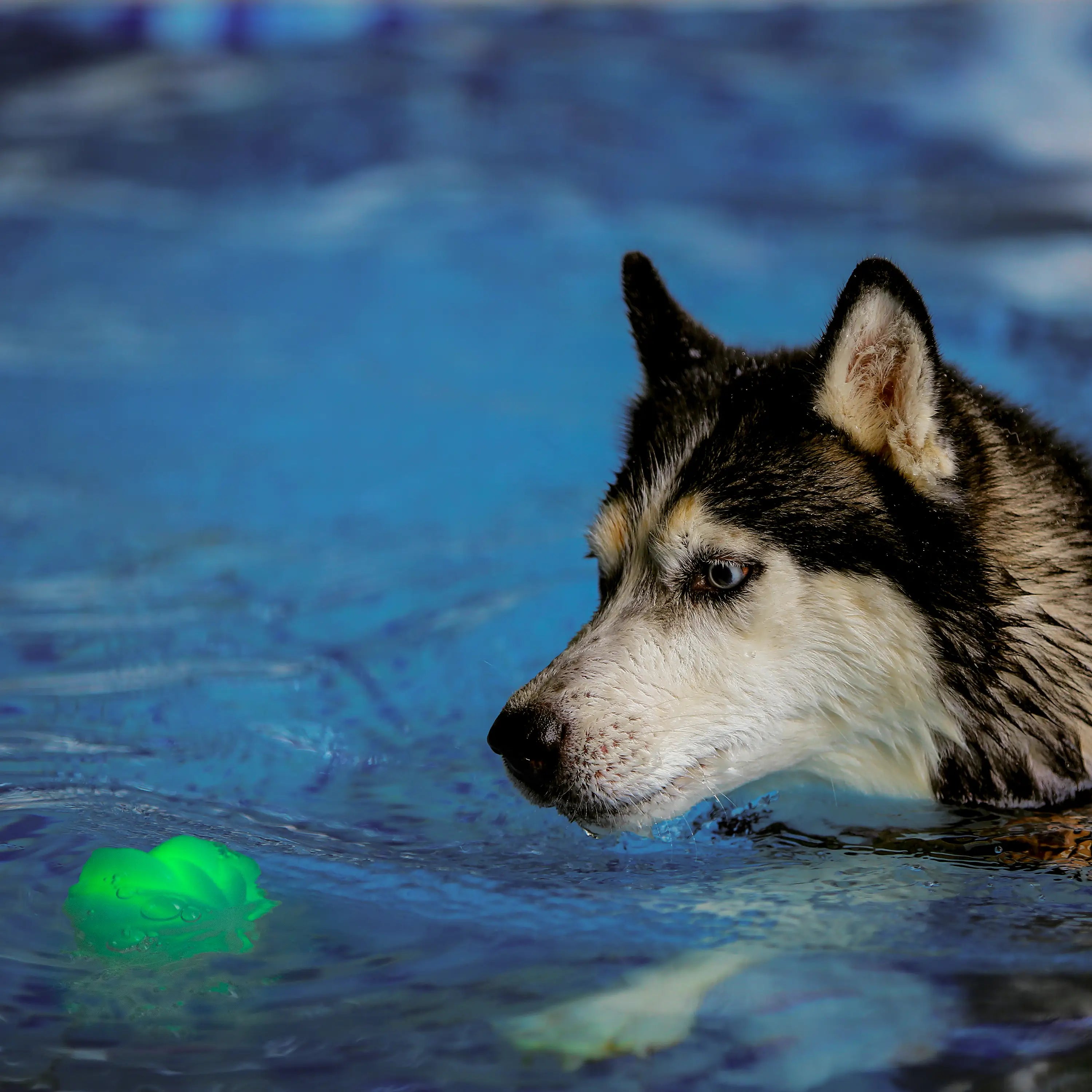 GlowStreak® Wild™ LED Ball - Disc-O