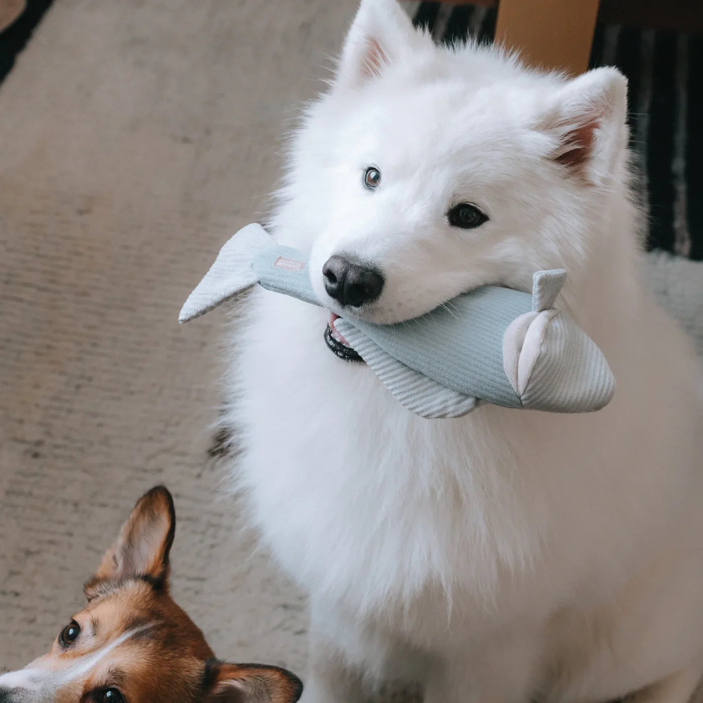 Farmer's Market Enrichment Dog Toy Set