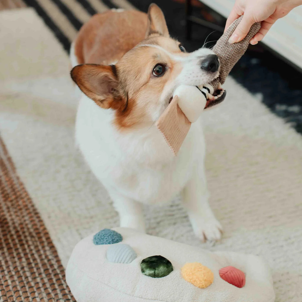 Color Palette Set Dog Toy