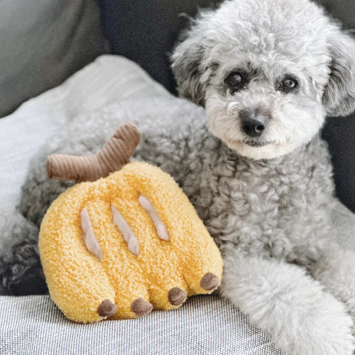 Banana Dog Toy