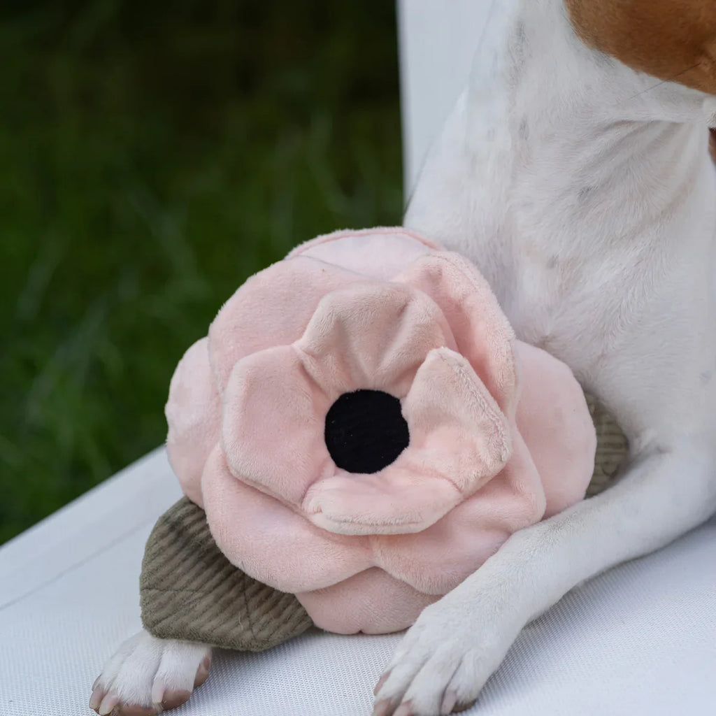 Poppy Dog Toy