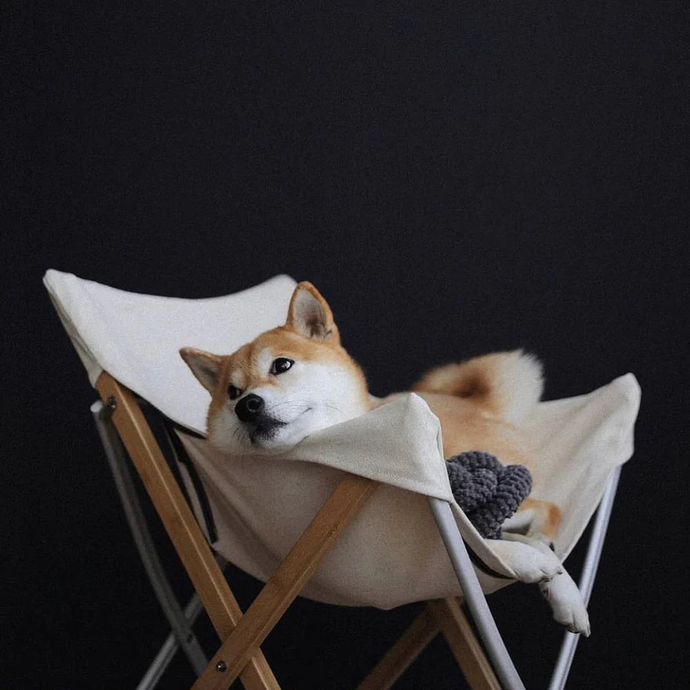 NOUNOUNOU Toy - Petite + Corduroy