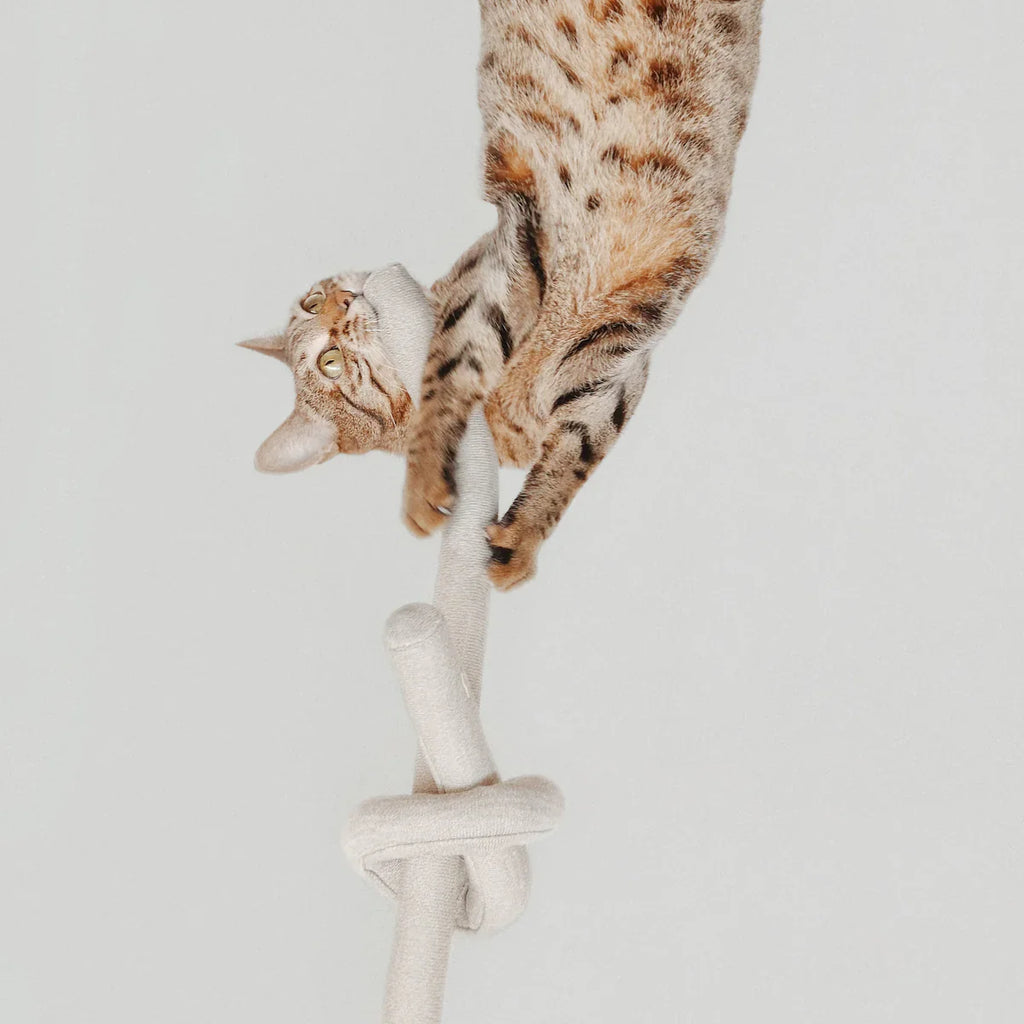 NOUNOU Toy - Tinkly + Nylon Knit