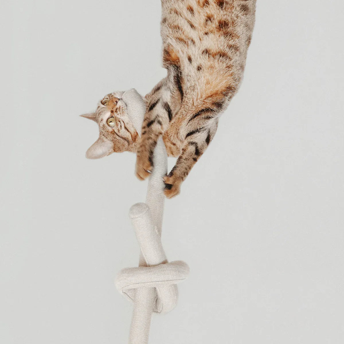 NOUNOU Toy - Tinkly + Nylon Knit