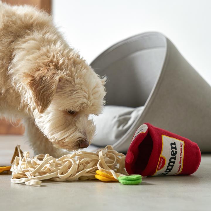 Ramen Nosework Noodle Toy
