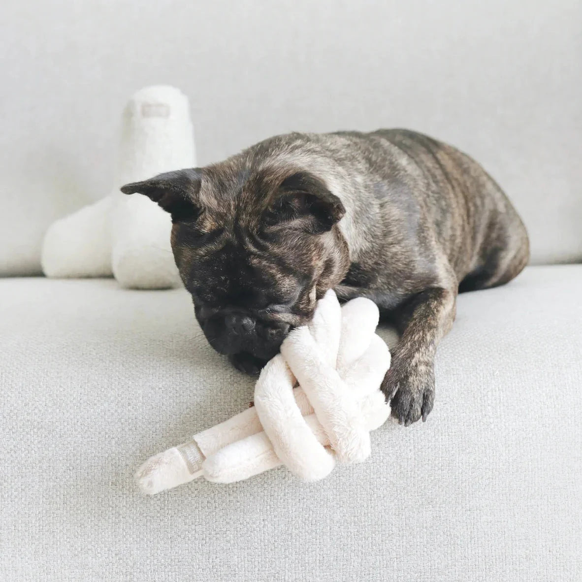 NOUNOUNOU Toy - Petite + Corduroy