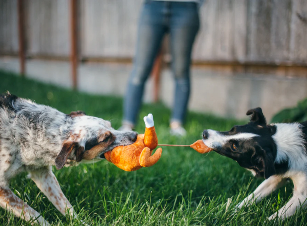 Holiday Classic - Holiday Hound Turkey Toy