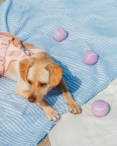 Tennis Balls - Set of 4