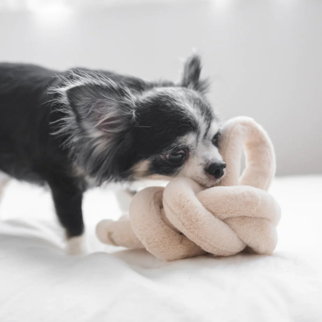 NOUNOUNOU Toy - Petite + Corduroy