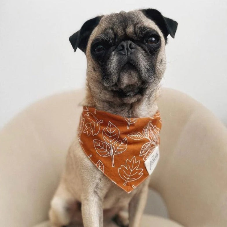 True North Dog Bandana