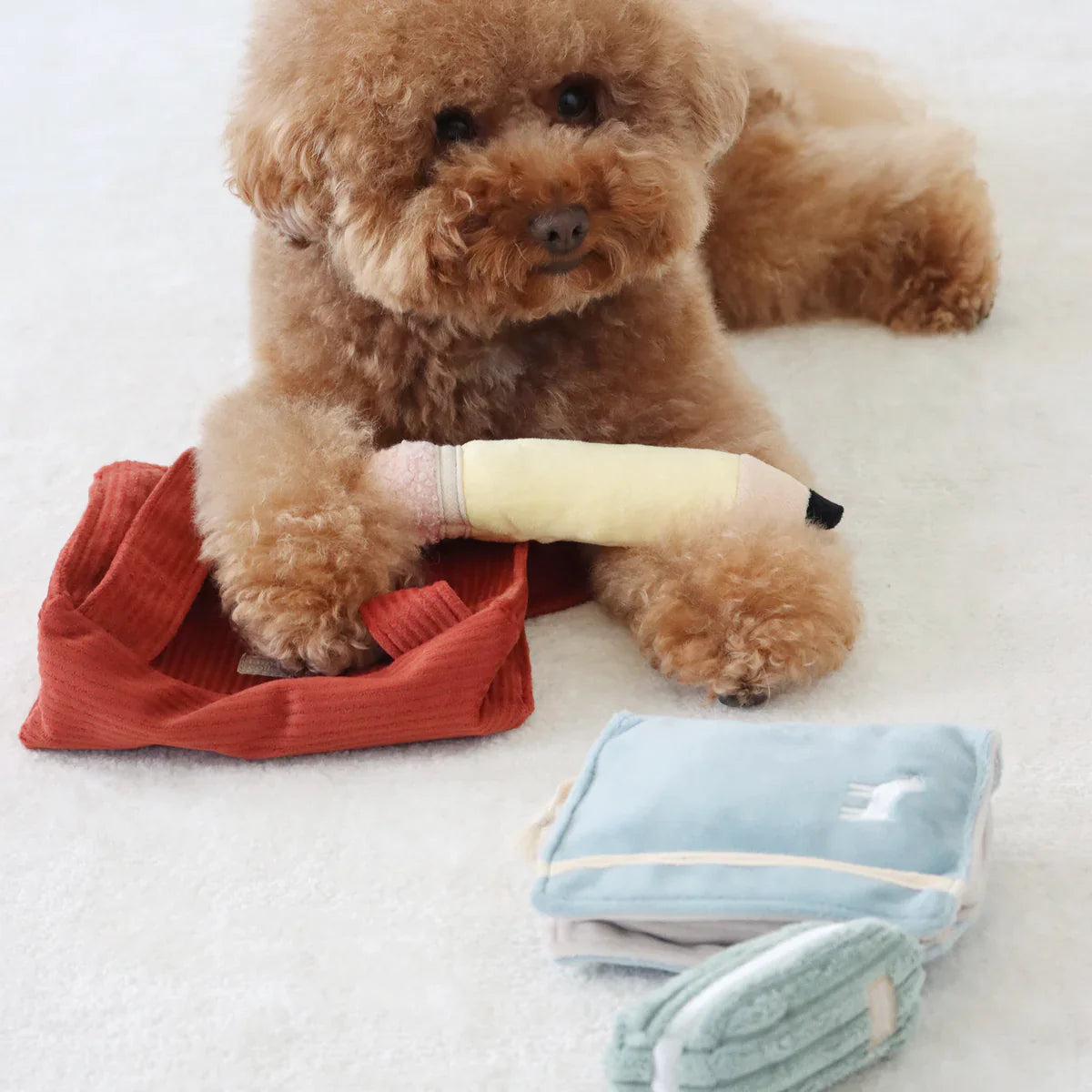 Back To School Dog Toy Set
