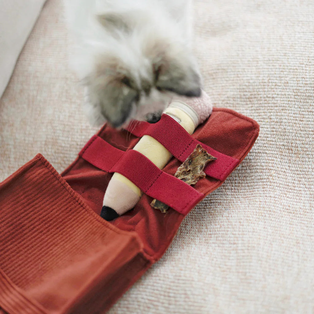 Back To School Dog Toy Set