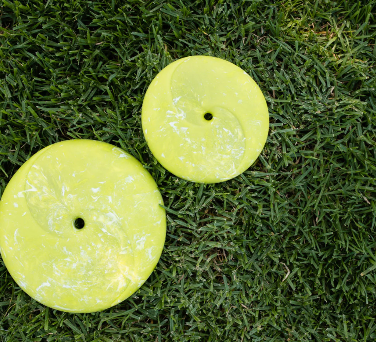 ZoomieRex InfiniDisc