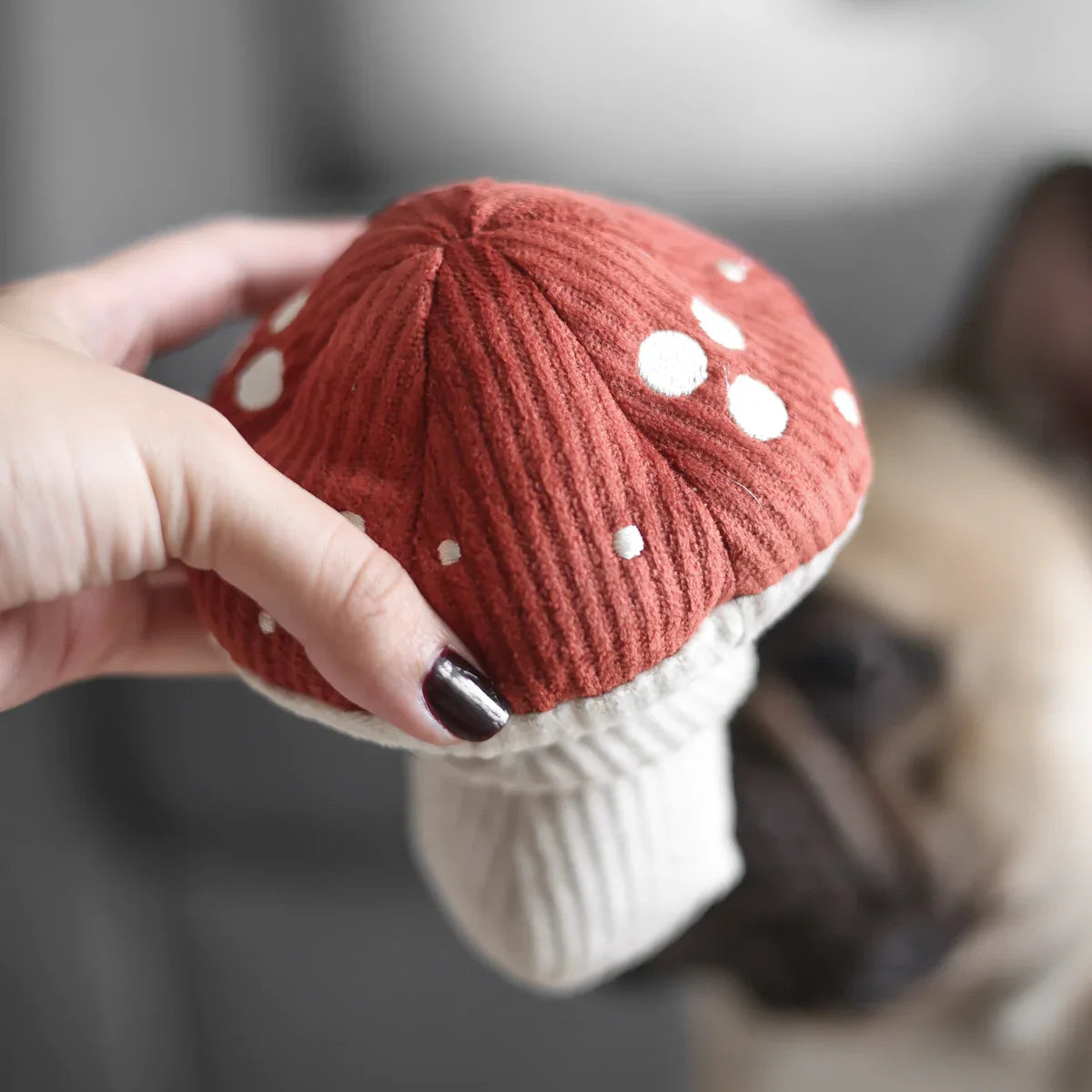 Shroom Dog Toy