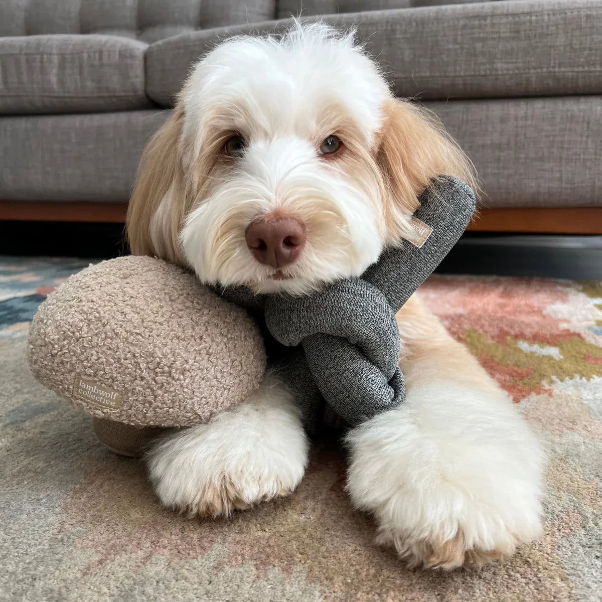 NOU® Toy - Crinkly + Nylon Knit