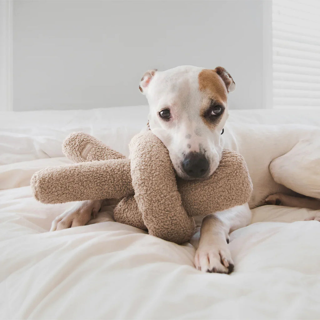 O NOU Toy - Oversized + Squeaky + Teddy Plush