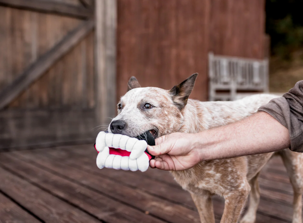 Howling Haunts Barky's Bite Toy