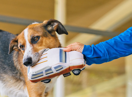 80s Classics Scruffy's Station Waggin' Toy