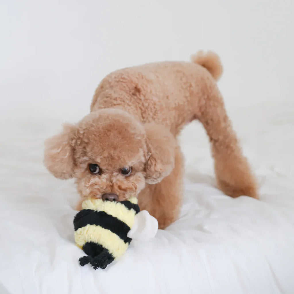 Bee Pop Dog Toy