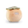 Persimmon Dog Toy