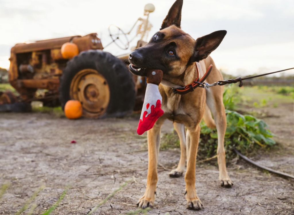Howling Haunts Doggy Dagger Toy