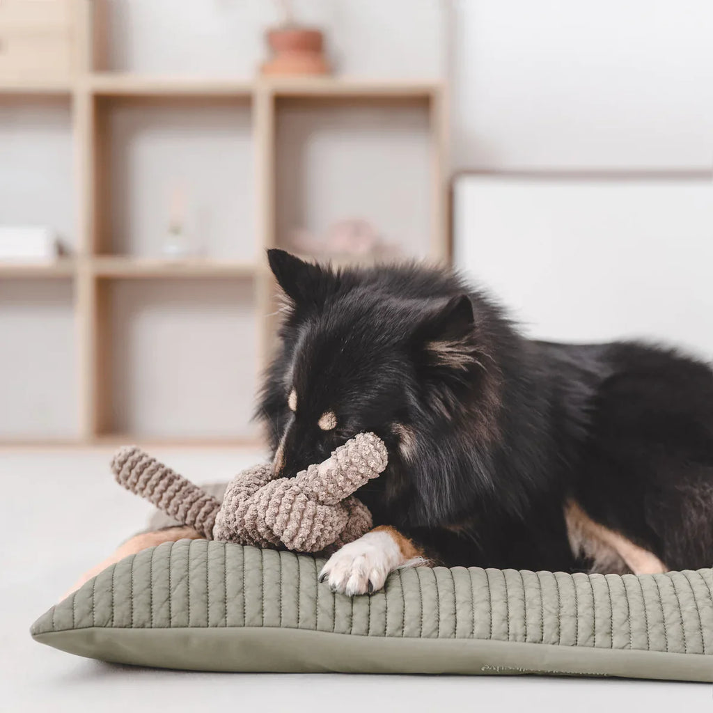 NOU® Toy - Squeaky + Corduroy