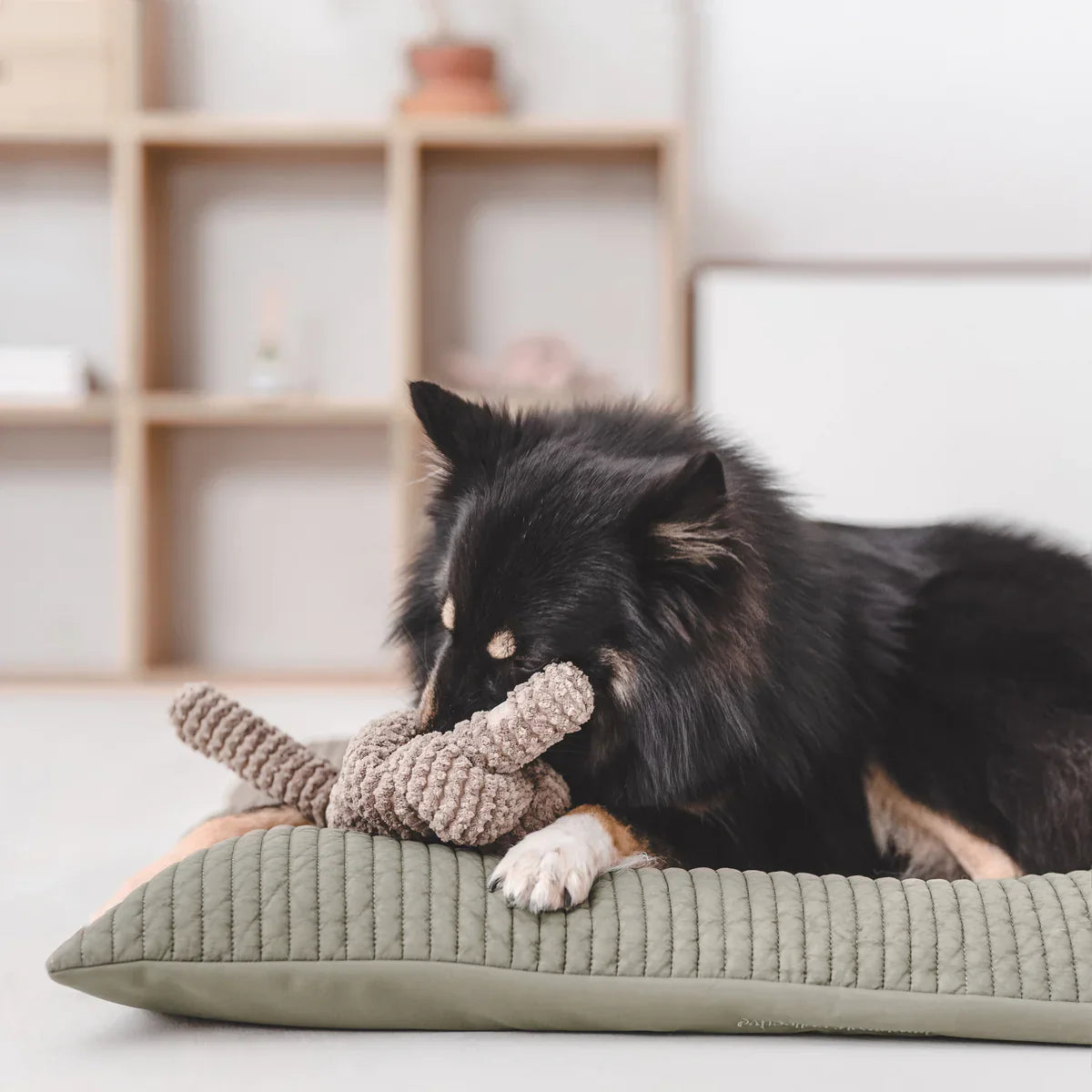 NOU® Toy - Squeaky + Corduroy