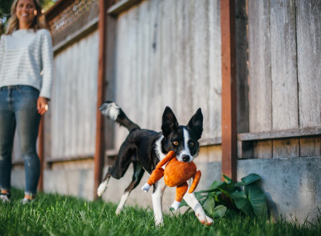 Holiday Classic - Holiday Hound Turkey Toy