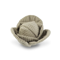 Green Cabbage Enrichment Dog Toy